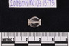 Collared Bead