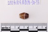 Stone Bead