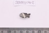 Amuletics & Figurines