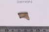 Sherd