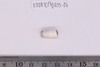 Pre-formed rough out Beads