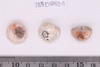 Beads fragment