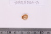Beads fragment