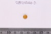 Pre-formed rough out Beads