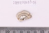 Beads fragment