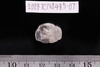 Beads fragment