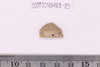 Beads fragment