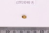 Gold glass Beads