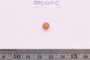 Pre-formed rough out Beads