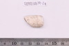 Sherd