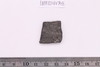 Sherd