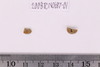 Beads fragment