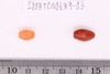 Pre-formed rough out Beads