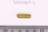 Pre-formed rough out Beads