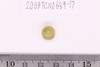 Pre-formed rough out Beads