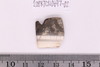 Beads fragment
