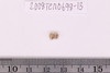 Gold glass Beads