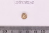 Gold glass Beads