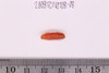 Pre-formed rough out Beads