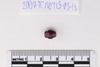 Collared Bead