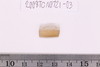 Pre-formed rough out Beads