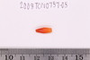 Pre-formed rough out Beads
