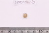 Gold glass Beads