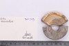 Piece of Stone casket