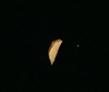 Gold scrap