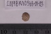 Conch Shell-Sriwatsa Coin