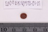 Intaglio & Cameos