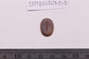 Intaglio & Cameos
