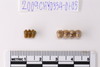 Gold glass Beads