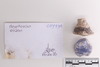 Mixed object in packaging