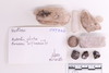 Fragments