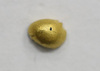 Gold scrap