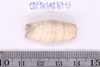 Pre-formed rough out Beads