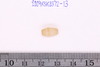 Pre-formed rough out Beads