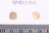 Beads fragment