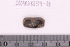 Beads fragment