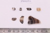 Fragments