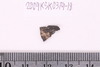 Fragments