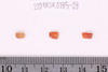 Beads fragment