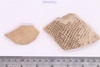 Sherd