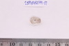 Pre-formed rough out Beads