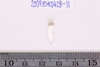Pre-formed rough out Beads