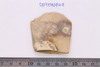 Stone Ax