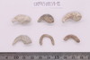 Gold split-ring