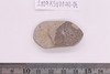 Material fragment