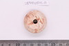 Spindle Whorl